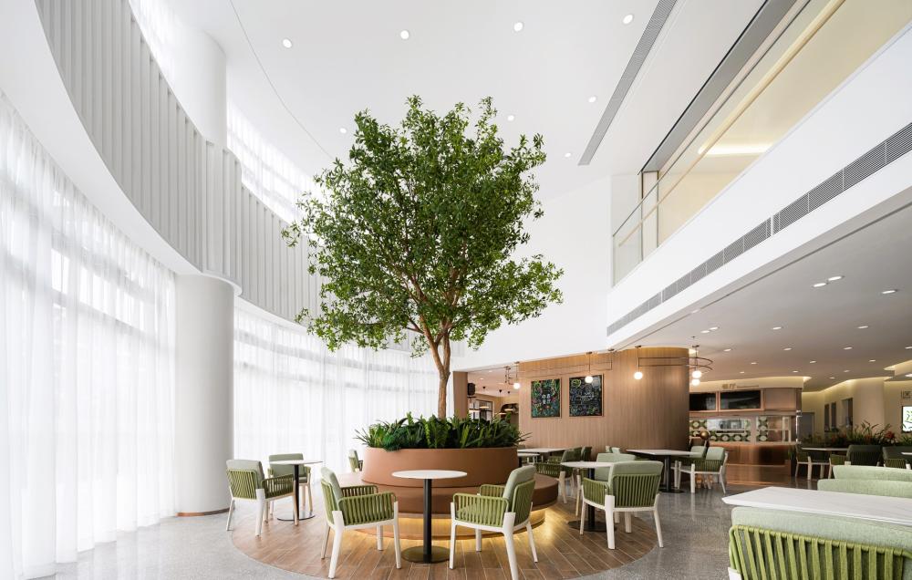 活动区／客厅／饭厅