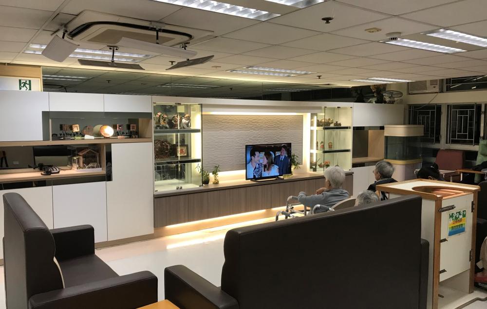 Television Room