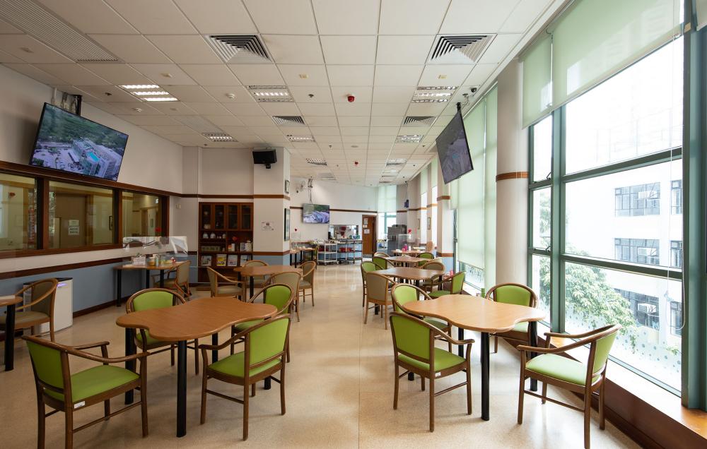 Activity Area /Living Room / Dining Room