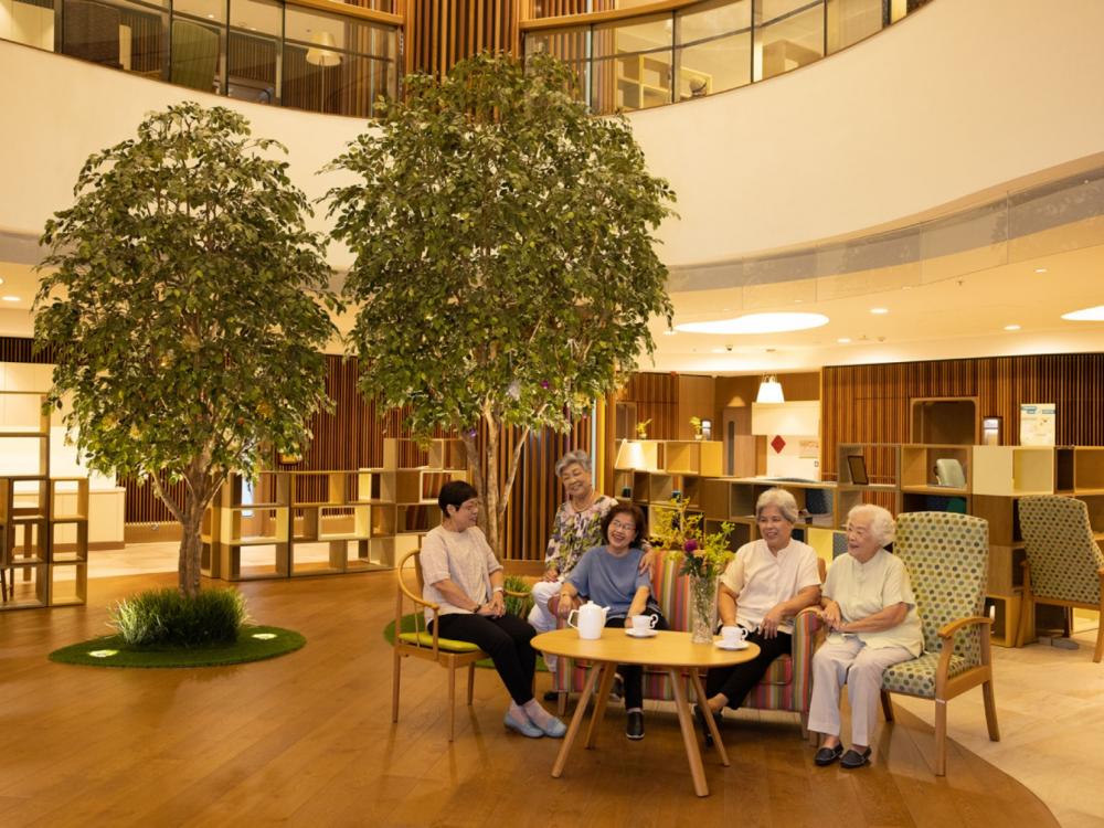 Activity Area /Living Room / Dining Room