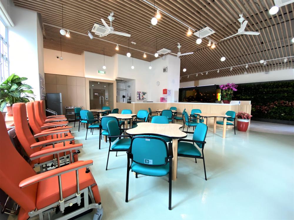 Activity Area /Living Room / Dining Room